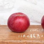 11月の販売スケジュール