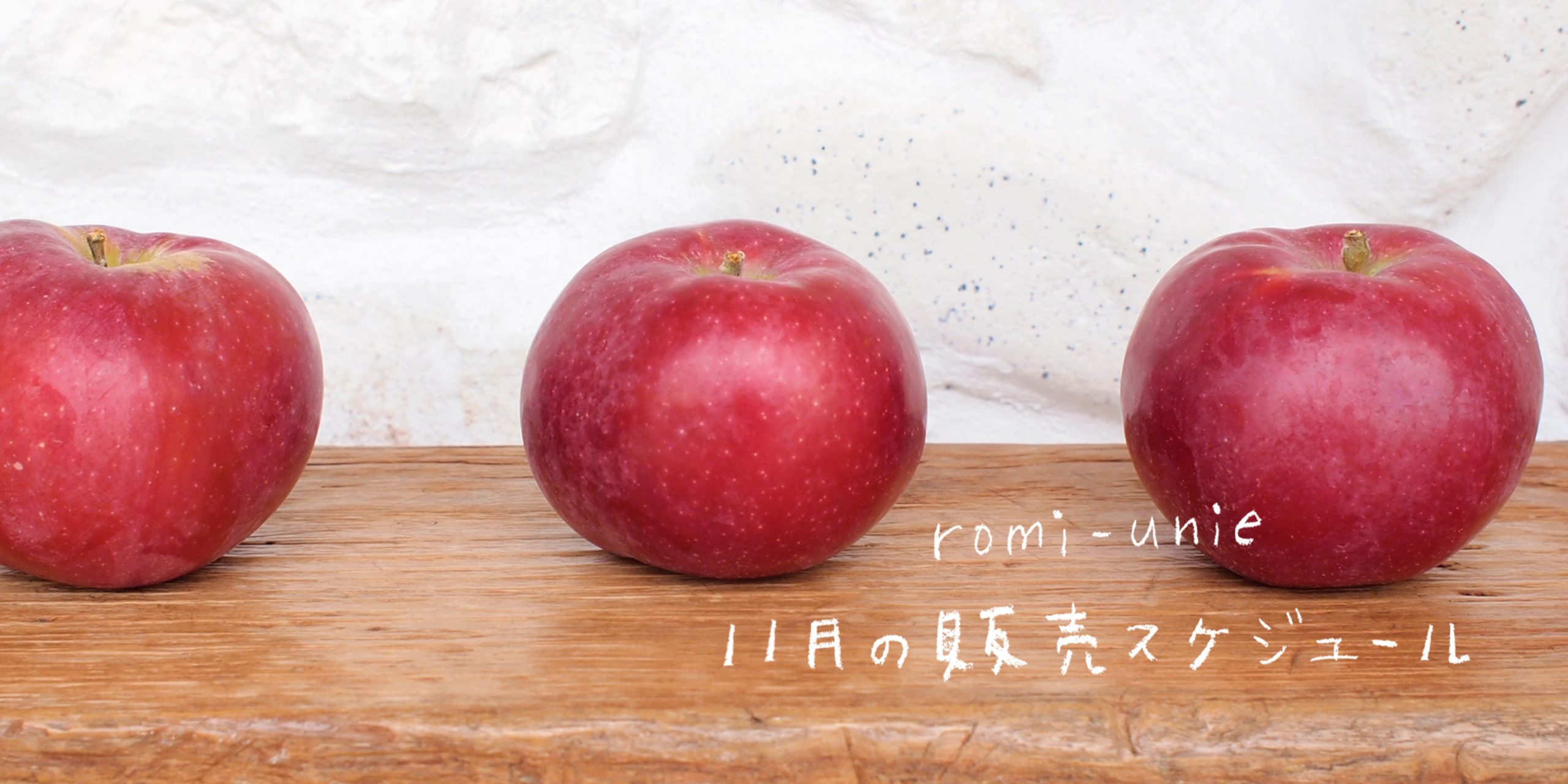 11月の販売スケジュール