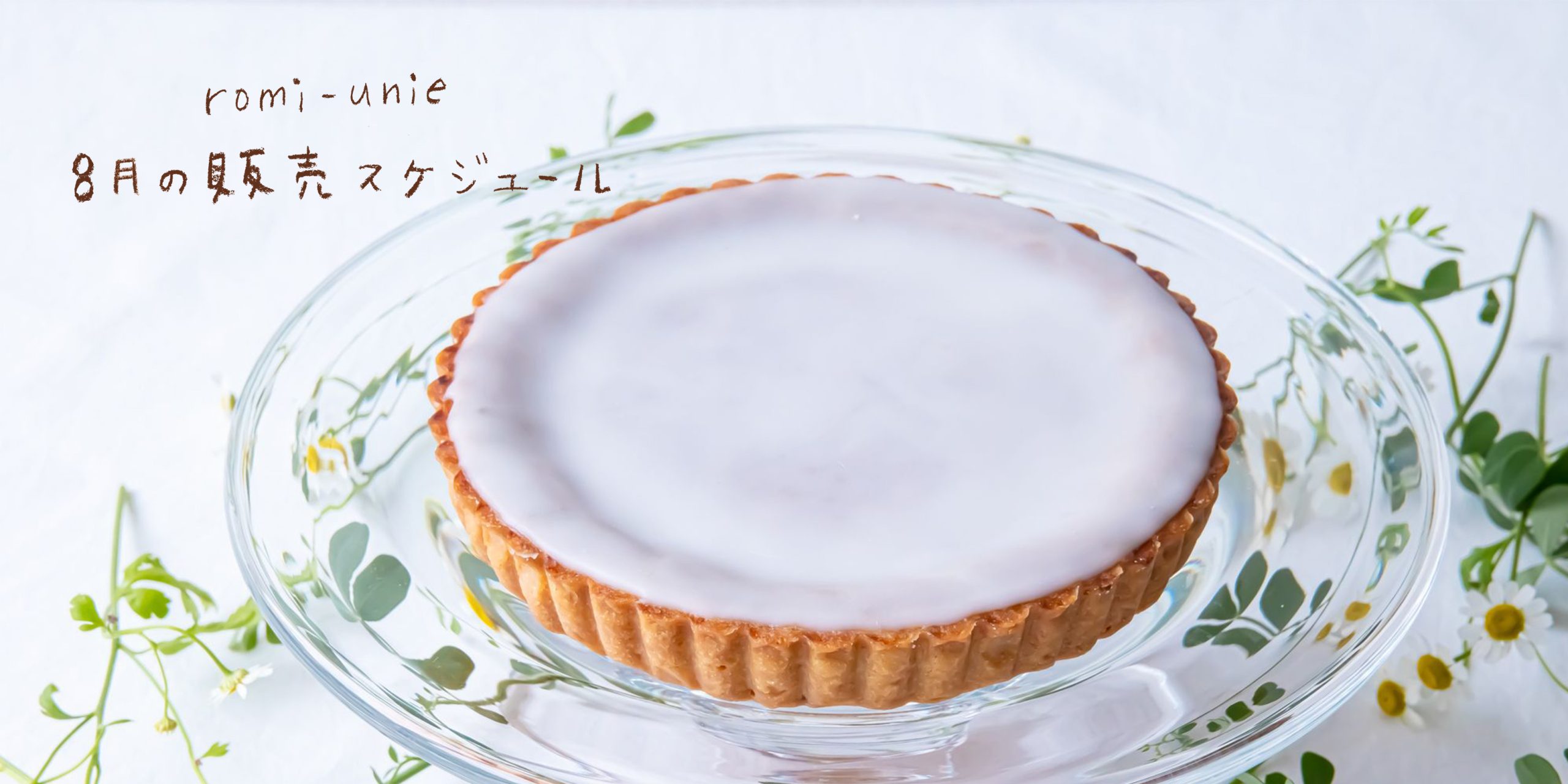 8月の販売スケジュール
