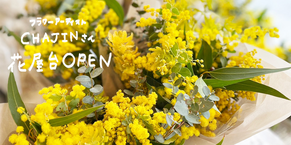 CHAJINさんミモザ屋台開催のおしらせ