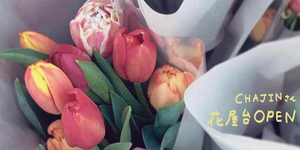 CHAJINさん チューリップ屋台開催のおしらせ